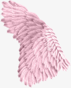粉色翅膀素材