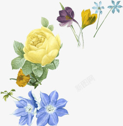 玫瑰花黄色花朵蓝色花朵素材