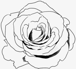 黑色独特玫瑰花手绘素材