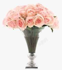 粉色玫瑰花卉装饰素材