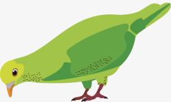 绿色卡通可爱鸽子素材