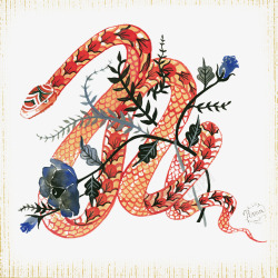 手绘水彩花朵蛇纹素材