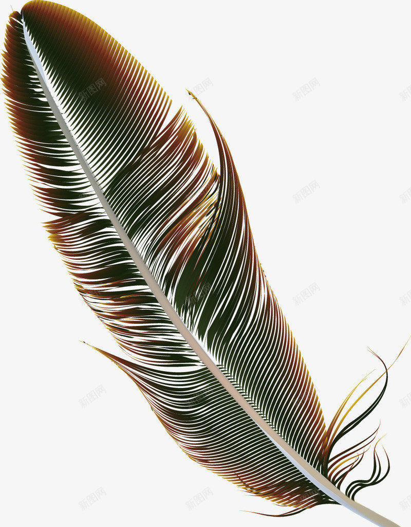 手绘精美工艺彩色羽毛矢量图ai免抠素材_88icon https://88icon.com 修饰 工艺 彩色 彩色羽毛 手绘 手绘精美工艺 手绘精美工艺彩色羽毛 精美 羽毛 矢量图