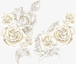 白色玫瑰背景玫瑰花海矢量图素材