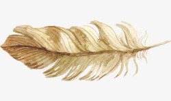 手绘漂浮的棕色羽毛素材