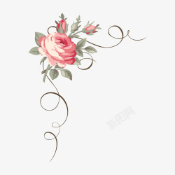 手绘玫瑰花底装饰图案素材