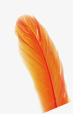 橙色羽毛医院素材