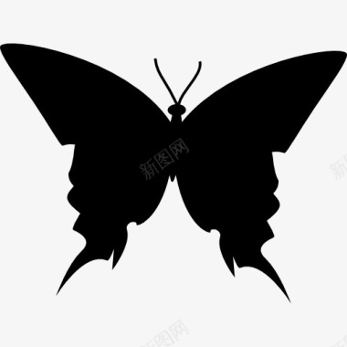俯视白杨树蝴蝶的黑色剪影顶视图图标图标