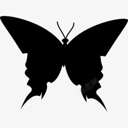 树枝形状蝴蝶的黑色剪影顶视图图标高清图片