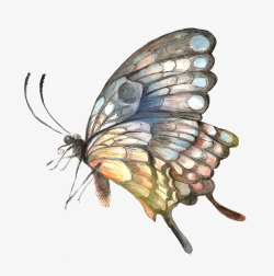 手绘水彩蝴蝶图素材