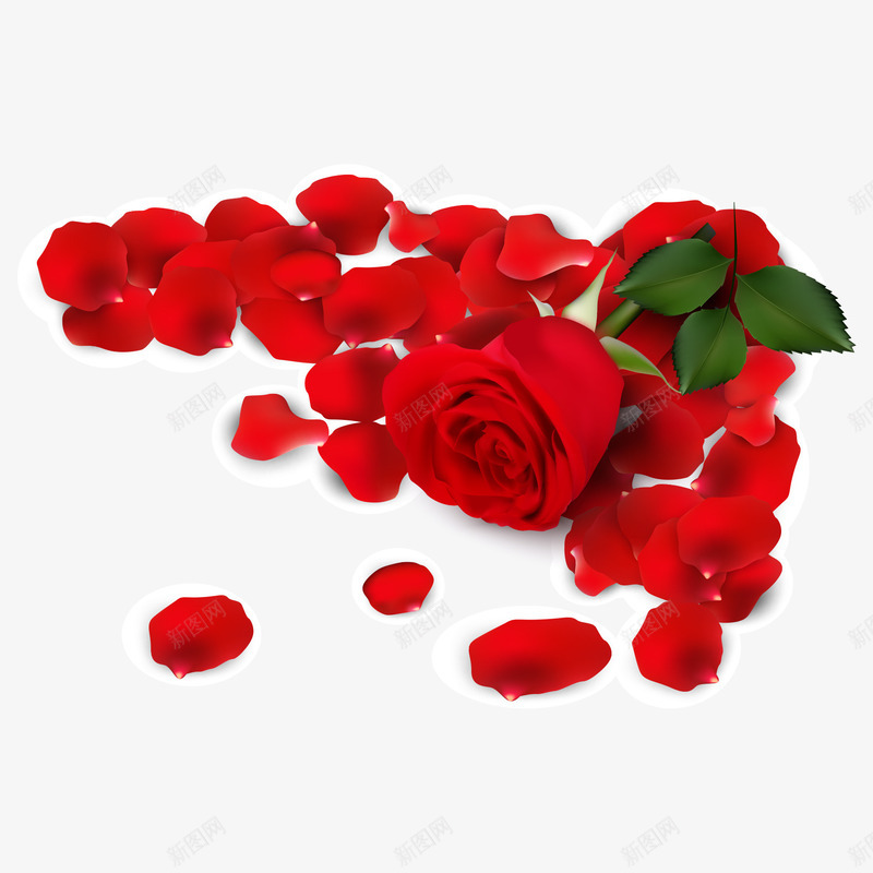 散落在地的红色呢玫瑰花png免抠素材_88icon https://88icon.com 浪漫 玫瑰花 红色 花卉
