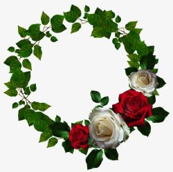 圆形玫瑰花卉装饰花环素材