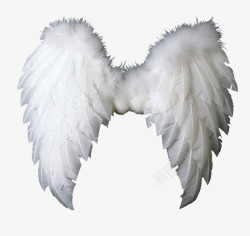 天使翅膀素材