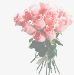 粉玫瑰花束海报素材
