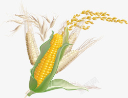 玉米卡通玉米淘宝食品矢量图素材