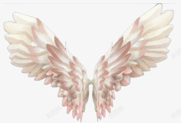 洁白的翅膀片png免抠素材_88icon https://88icon.com 后背翅膀 漂亮的翅膀图片 羽毛翅膀 装饰图片翅膀
