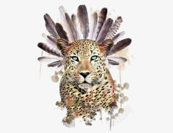 豹头矢量羽毛与猎豹高清图片