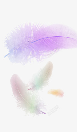 紫色唯美羽毛免费下载紫色羽毛高清图片