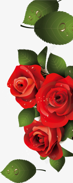 玫瑰花海红色玫瑰矢量图高清图片
