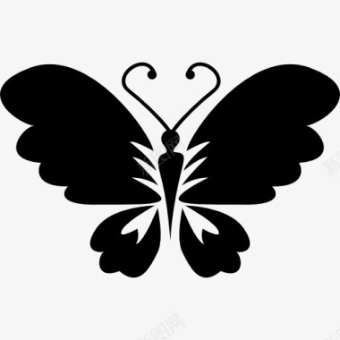 动物PNG素材黑蝴蝶俯视开翅膀图标图标