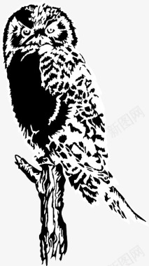 猫头鹰手绘图标图标