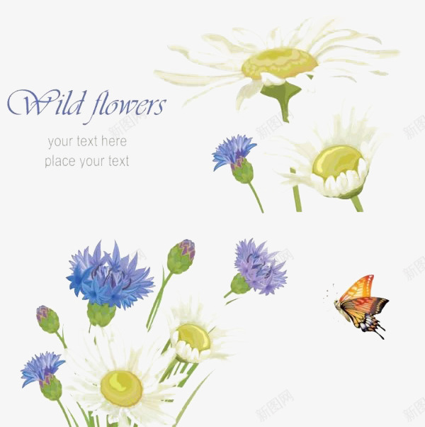 鲜花朵朵png免抠素材_88icon https://88icon.com 五颜六色 漂亮 花朵封面 蝴蝶