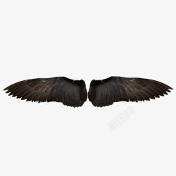 黑色老鹰翅膀素材