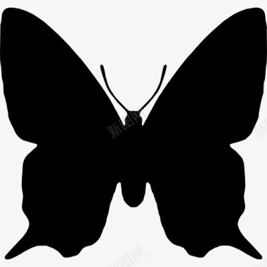 爱心形状蝴蝶昆虫动物形状图标图标