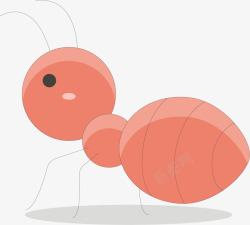 粉色蚂蚁卡通插画矢量图素材