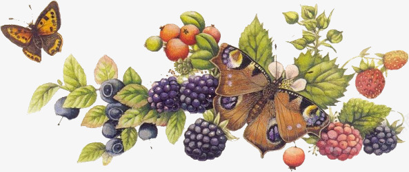 水果矢量卡通花饰水果蝴蝶图标图标