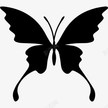 多边形轮廓蝴蝶的轮廓图标图标