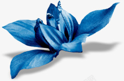 蓝色蝴蝶花素材