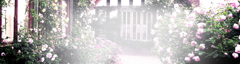 摄影合成效果玫瑰花png免抠素材_88icon https://88icon.com 合成 摄影 效果 玫瑰花