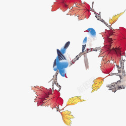 红叶树枝鸟在枝头高清图片