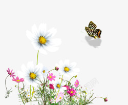 小清新花朵蝴蝶装饰边框素材
