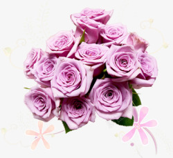 浅紫色玫瑰花捧七夕素材