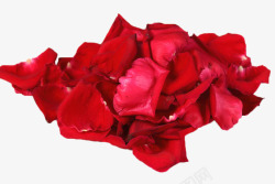 一堆红色玫瑰花瓣素材