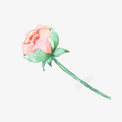清新唯美水彩玫瑰花素材