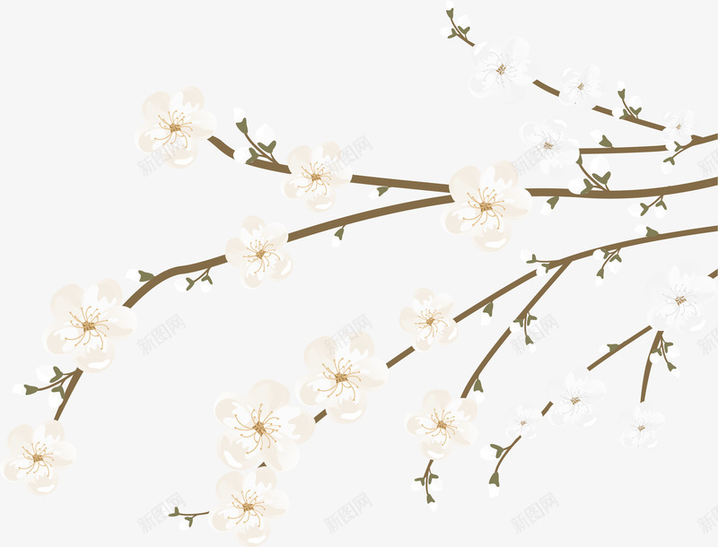 白色花朵和树枝矢量图ai免抠素材_88icon https://88icon.com 古风 树枝 淡雅 白色 花朵 矢量图