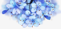 手绘装饰蓝色鲜花素材