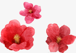 红色鲜花玫瑰植物素材