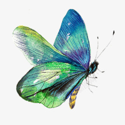 手绘美丽的蓝色蝴蝶素材