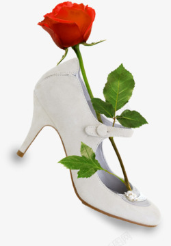 一枝玫瑰放在鞋子上素材