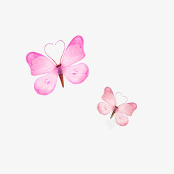 两只蝴蝶粉色蝴蝶高清图片