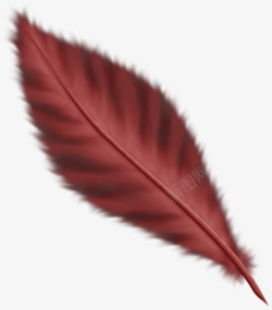 鸟羽毛卡通翅膀红色羽毛素材