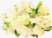 白色玫瑰花束婚礼素材