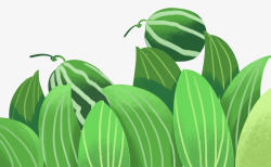 绿色纹理质感西瓜美食元素素材