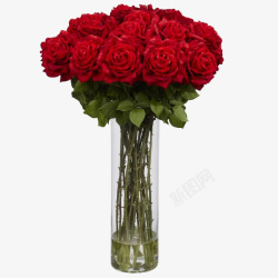 花瓶中的红玫瑰素材