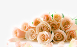 橘色玫瑰花束装饰图案素材