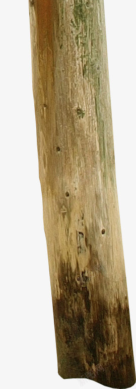 棕色圆形木棒png免抠素材_88icon https://88icon.com 圆形木棒 木棍 木棒 棕色木棒